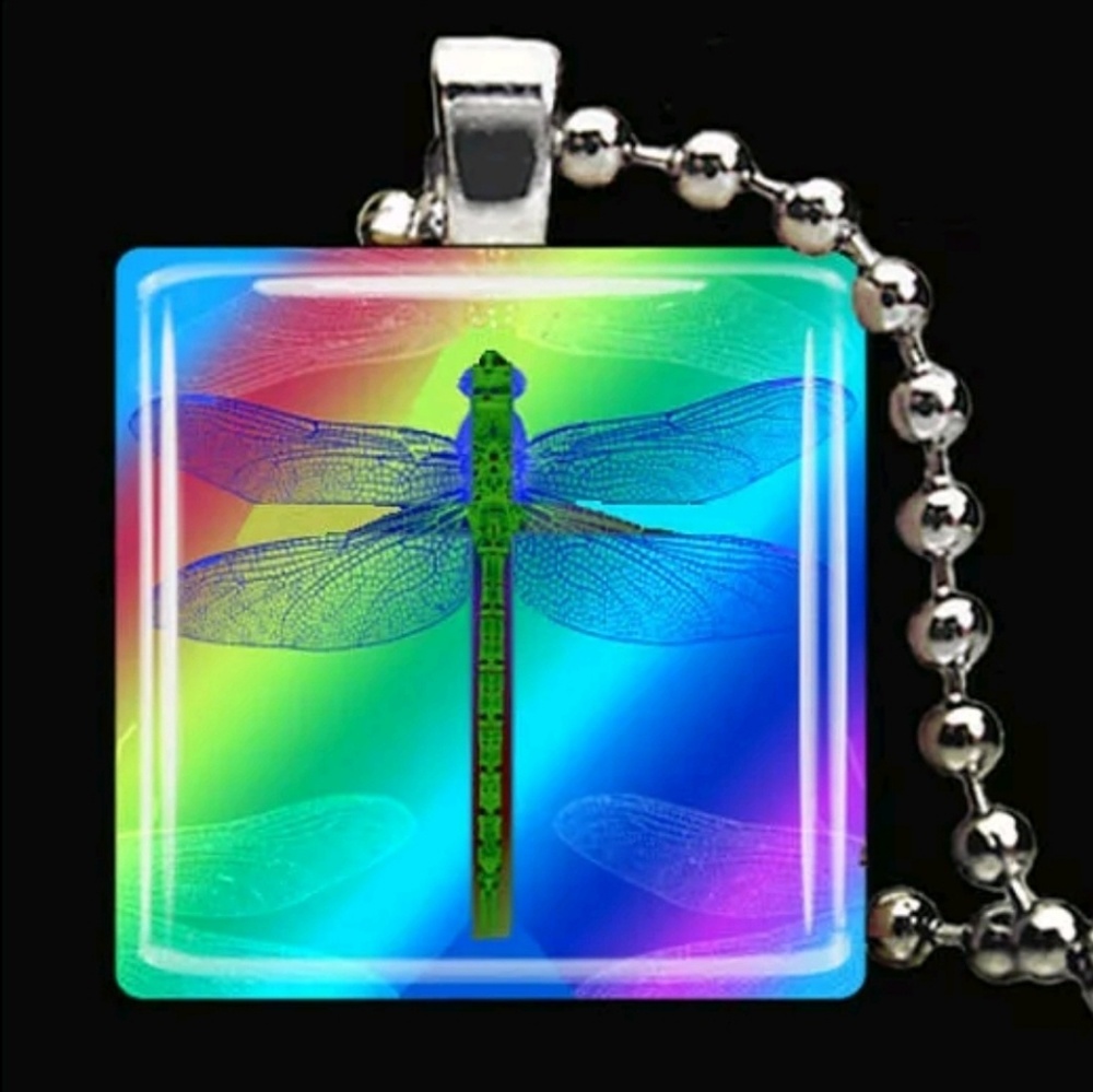 Colorful Dragon Fly Cabochon Pendant Necklace